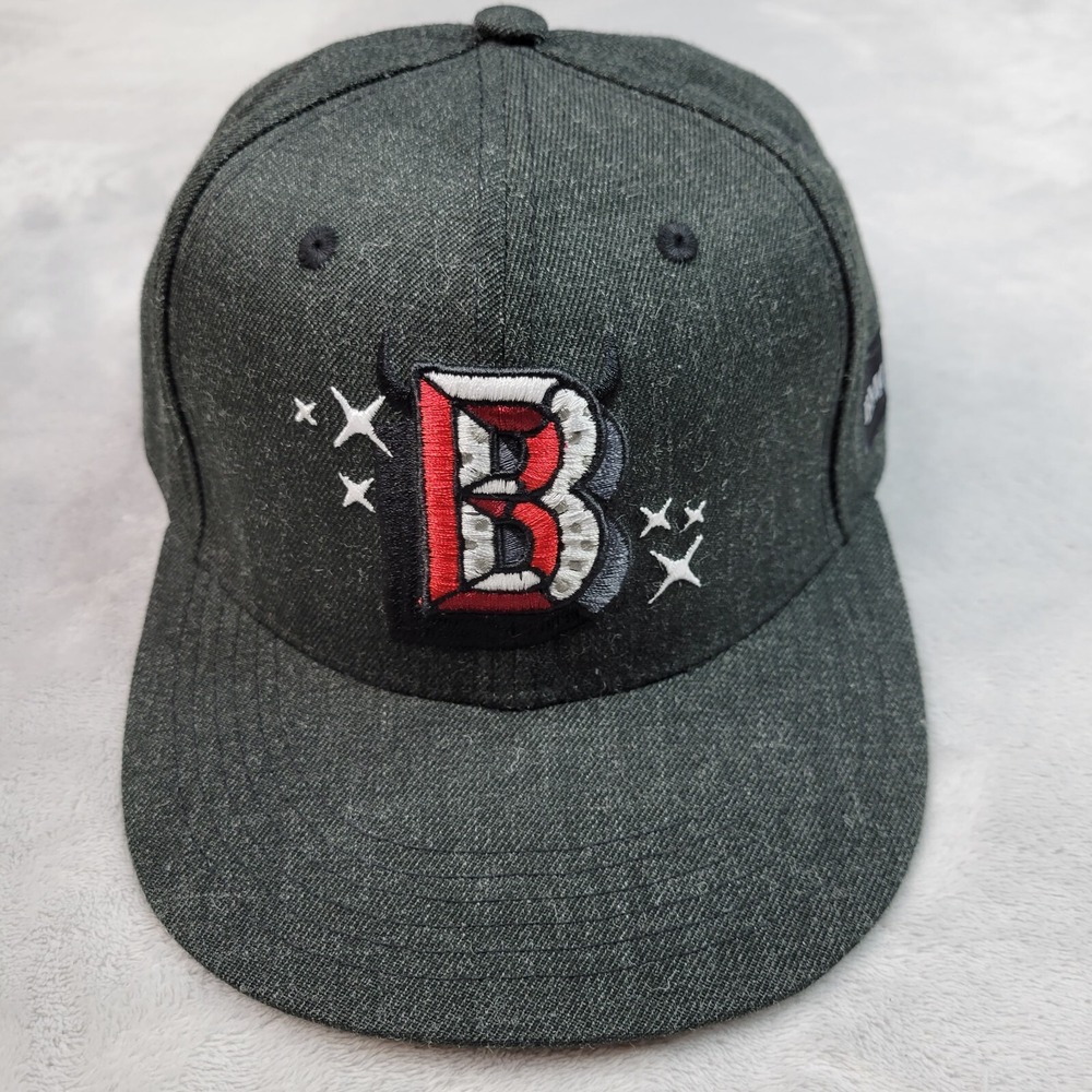 Chicago Bulls Hat Cap Mens Grey Charcoal Snapback Logo Artist Series Miss Merlot